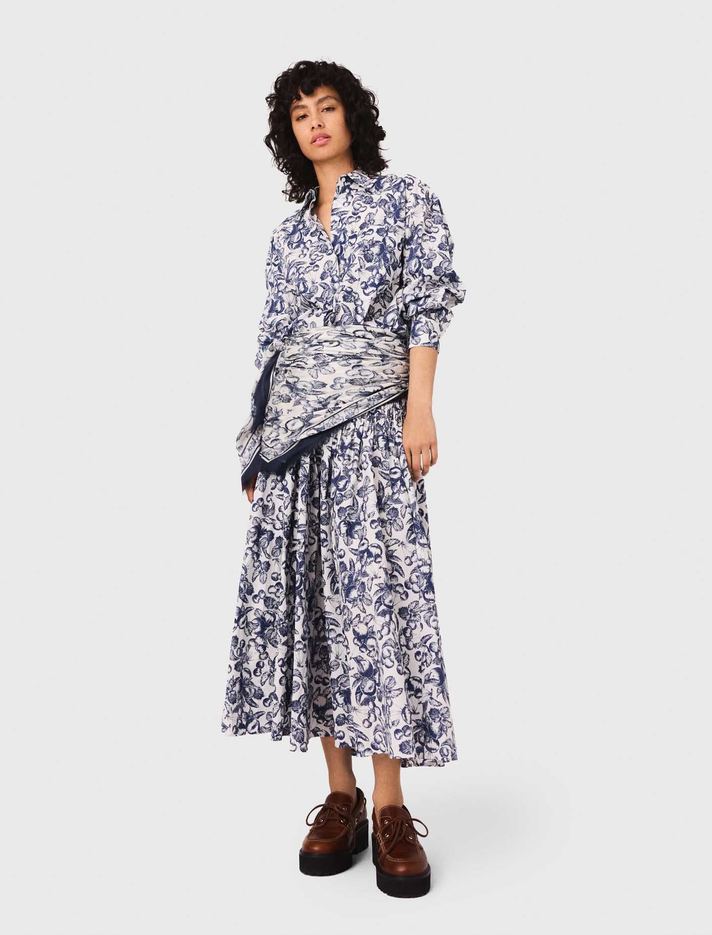 mahoページ Moth Photographers Group – Aethes deutschiana – 3755.3